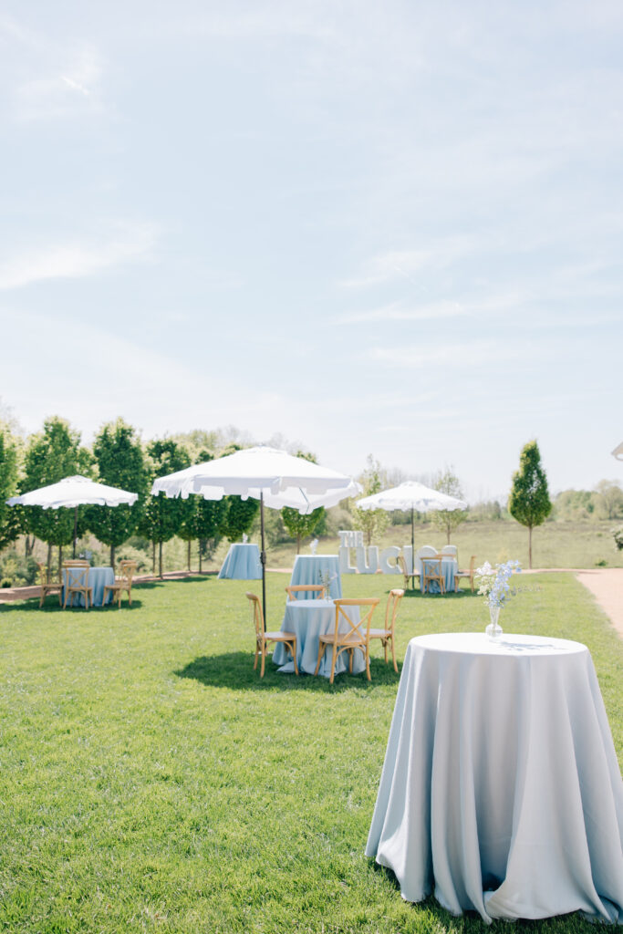 Romantic Magnolia Hill Farm wedding. Columbus Ohio Wedding venues. Courtyard cocktail hour.